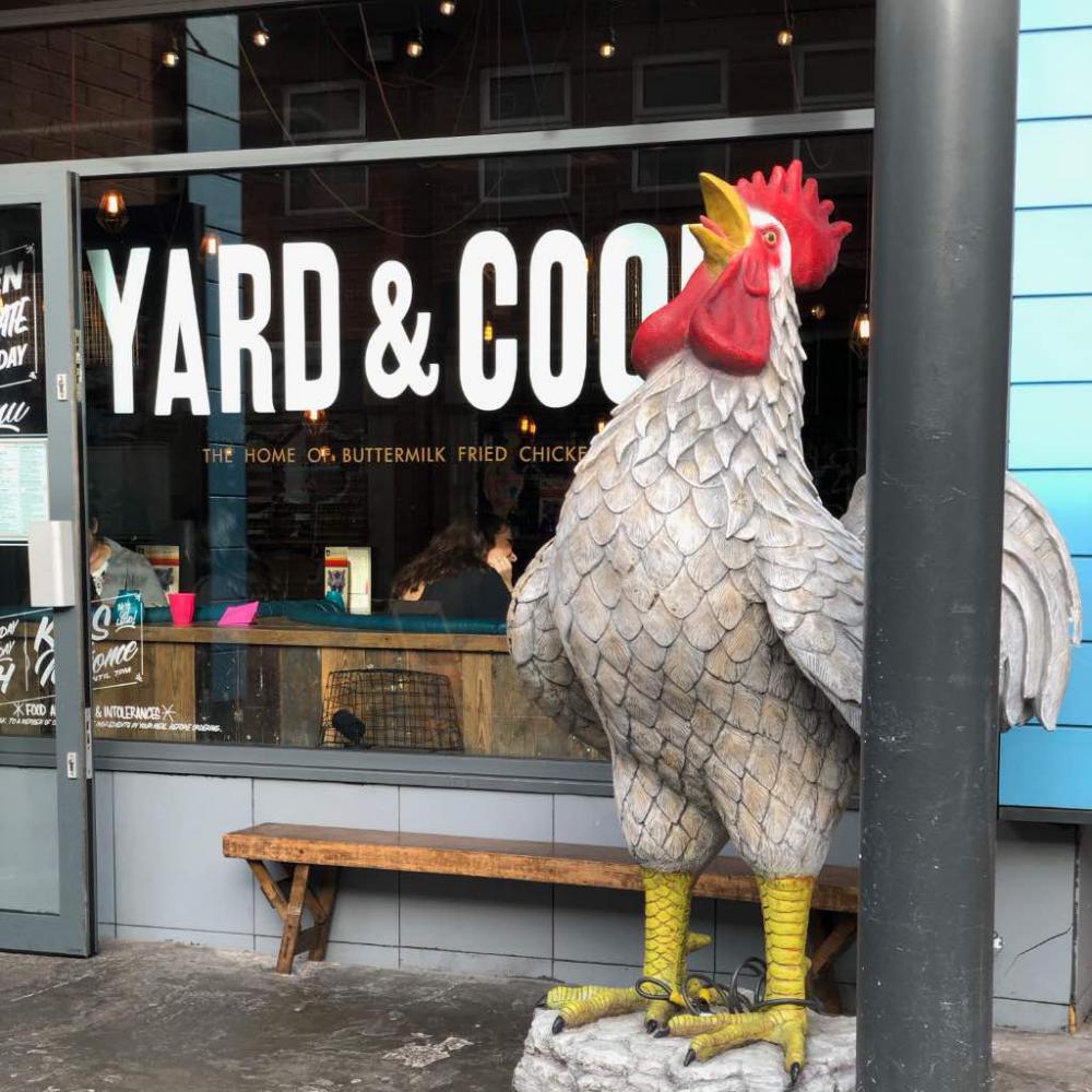 Yard & Coop: Review
